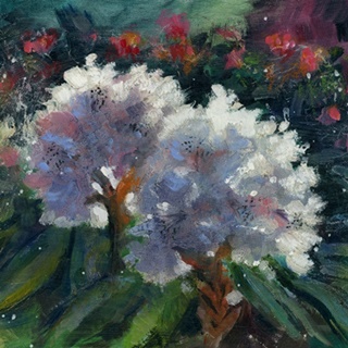 Rhododendron Portrait I
