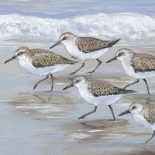 Sandpipers I