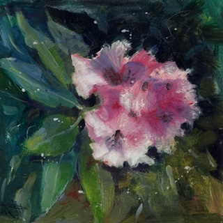 Rhododendron Portrait II