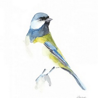 Watercolor Songbirds I