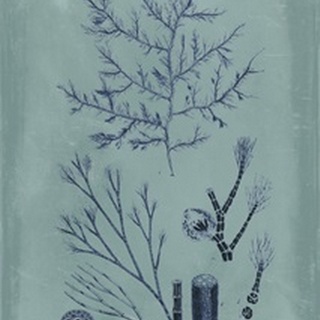 Indigo and Azure Seaweed VIII