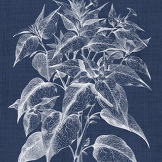 Foliage Chintz III