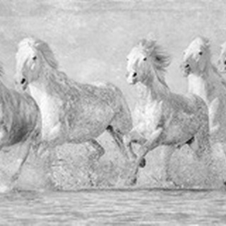 Water Horses V