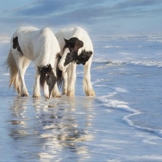 Water Horses I