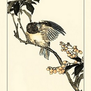 Oriental Bird on Branch V