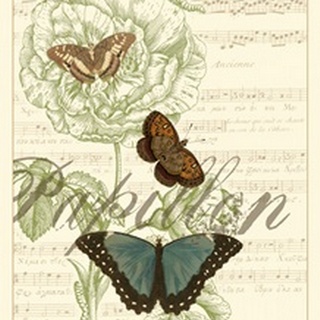 Papillon Melange II