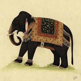 Elephant from India II