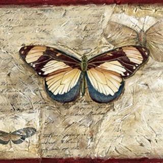 Poetic Butterfly I