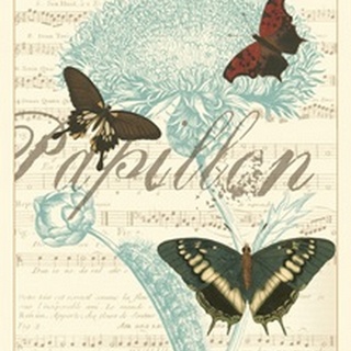 Papillon Melange IV