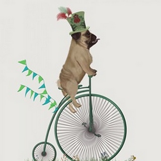 Pug on Penny Farthing