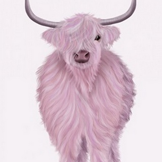 Highland Cow in Pink