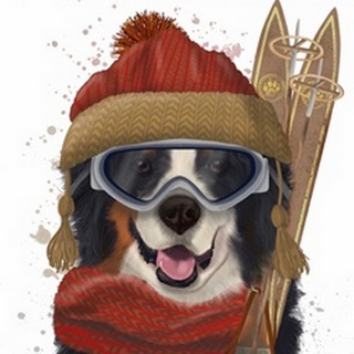 Bernese Ski Dog
