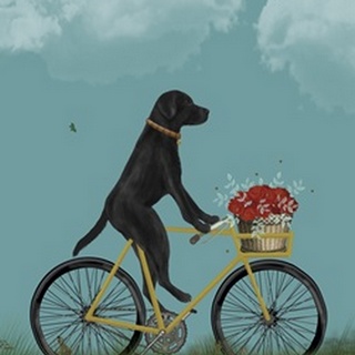 Black Labrador on Bicycle - Sky