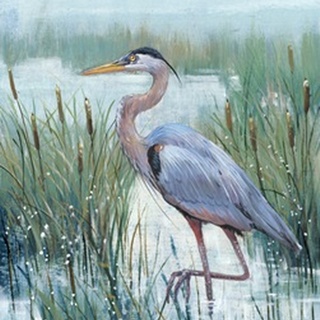 Marsh Heron II