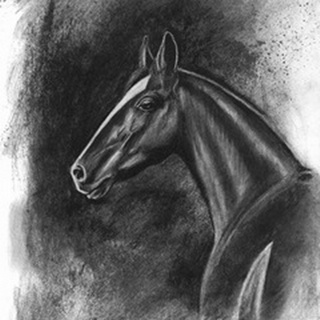 Charcoal Equestrian Portrait II