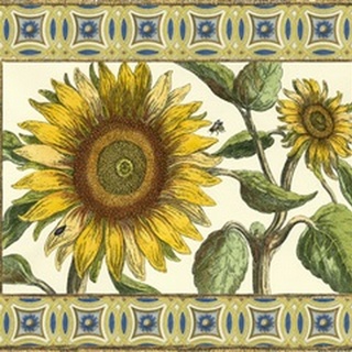 Classical Sunflower I