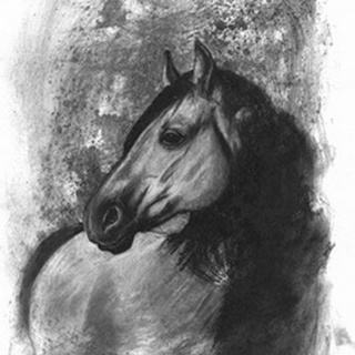 Charcoal Equestrian Portrait IV