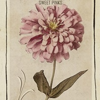 Vintage Seed Packets Collection B