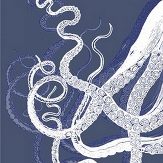 White Octopus on Indigo Blue c