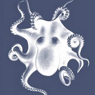 White Octopus on Indigo Blue d
