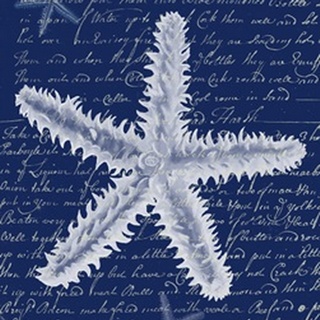White Starfish on Blue b