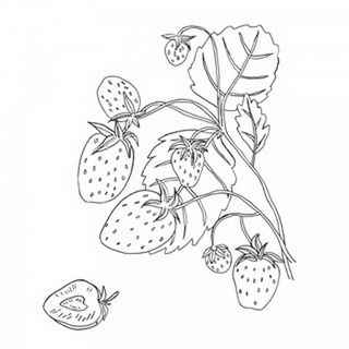Wild Strawberries I