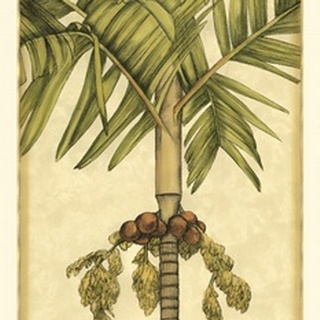 Small Graphic Palms II (P)