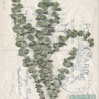 Small Postcard Wildflowers IV