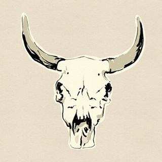 Steer Skull II