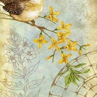 Songbird Sketchbook I