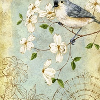 Songbird Sketchbook IV