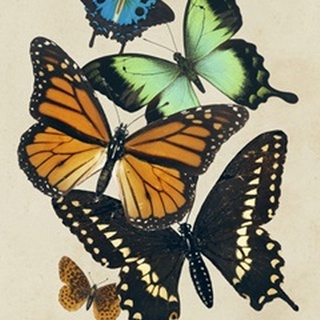 Collaged Butterflies I