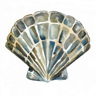 Aquarelle Shells IV