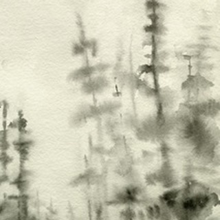 Foggy Pine Forest I