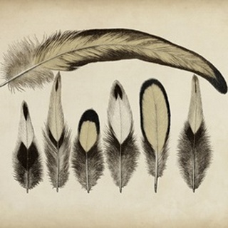 Vintage Feathers VII