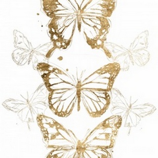 Gold Butterfly Contours I