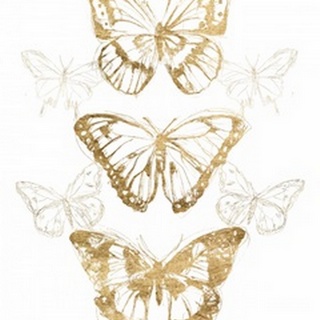 Gold Butterfly Contours II