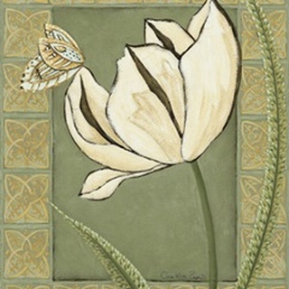 Ivory Tulip II