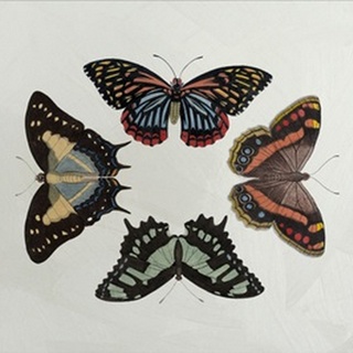 Lustr Display of Butterflies IV in Pearl White