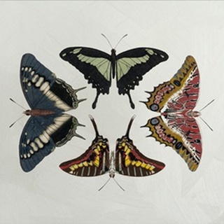 Lustr Display of Butterflies II in Pearl White