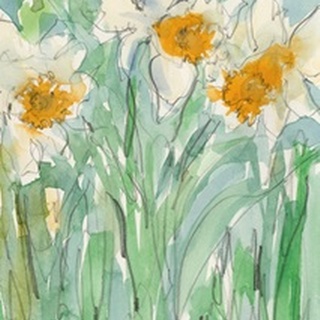 Daffodils Stems II