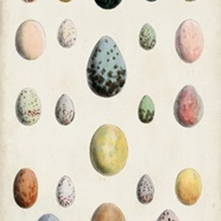 Antique Bird Eggs II