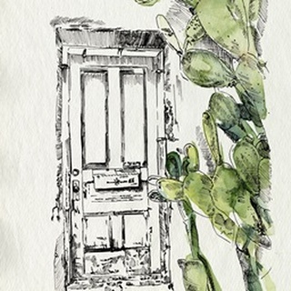 Cactus Door II