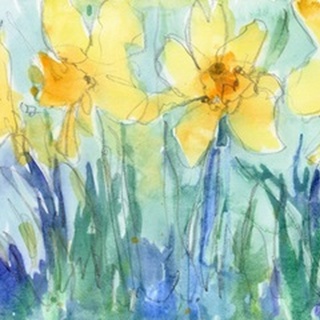 Daffodil Blooms II