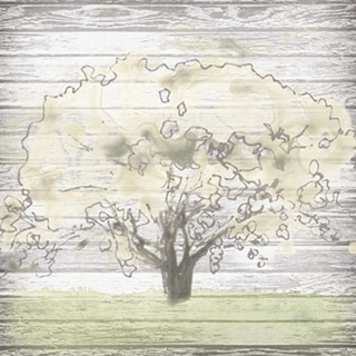 Barn Tree I