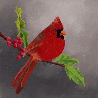 Red Cardinal I