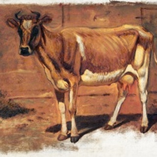 Colman Color Study of Cows II