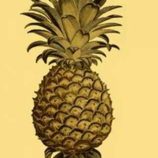 Sepia Pineapple I