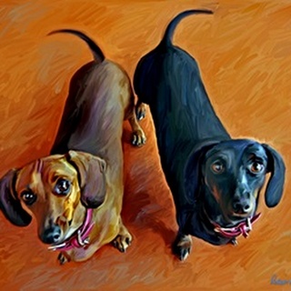 Double Dachsies