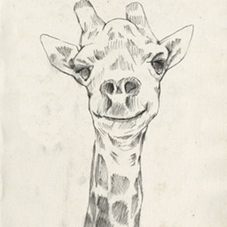 Giraffe Portrait I
